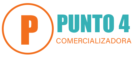 Punto 4